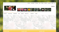 Desktop Screenshot of passiflorasite.nl